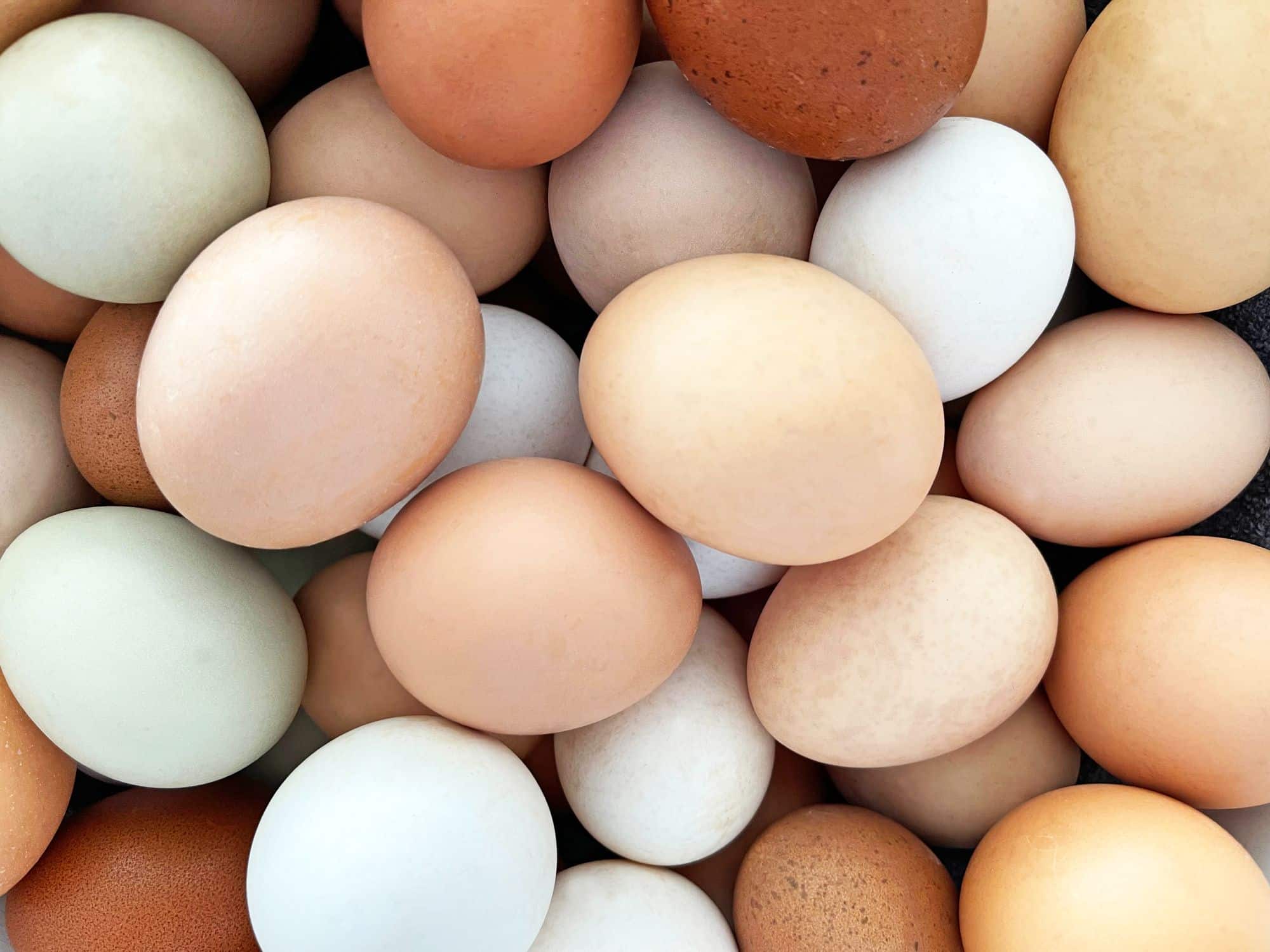 Conheça a classificação de ovo e suas características