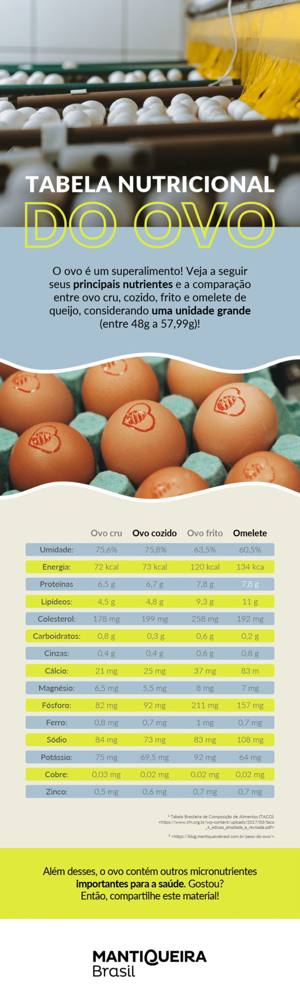 Tabela nutricional do ovo: tudo o que você precisa saber
