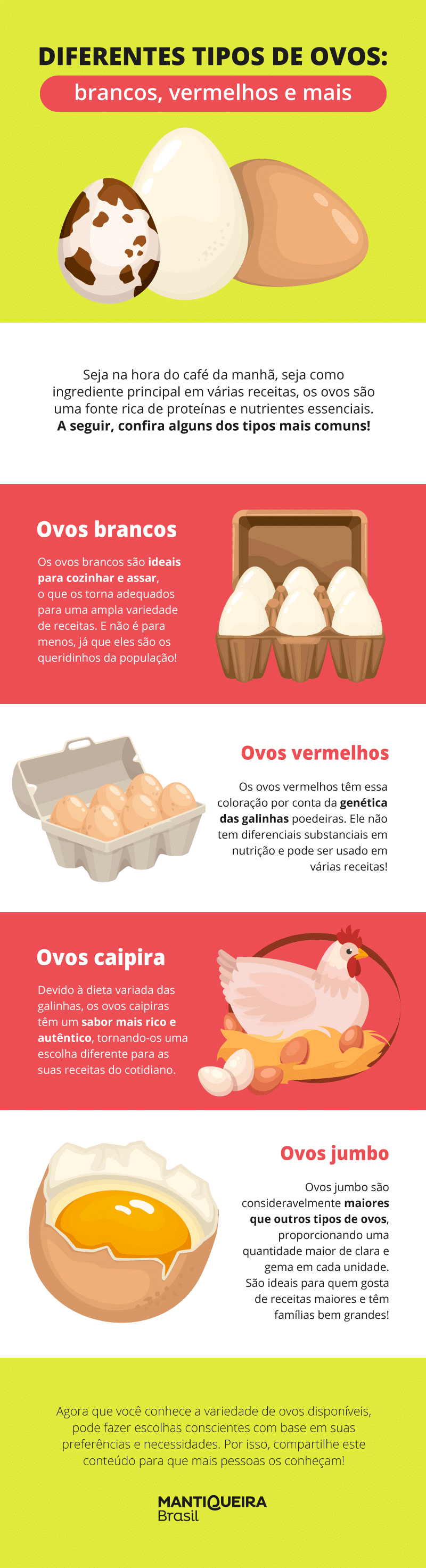 conheça os diferentes tipos de ovos e suas características neste infográfico!